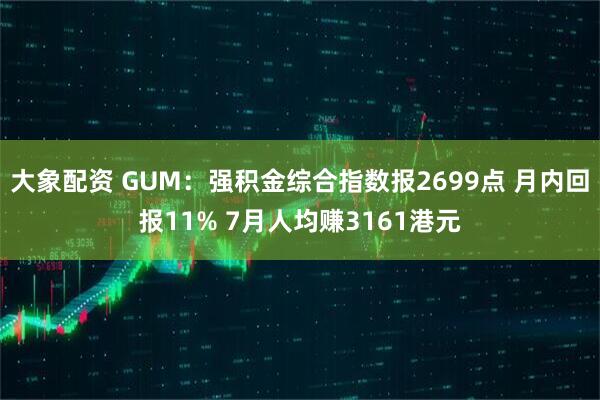 大象配资 GUM：强积金综合指数报2699点 月内回报11% 7月人均赚3161港元